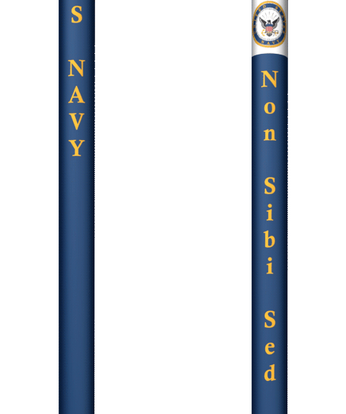 Straight Cane with Fritz Handle, US Navy