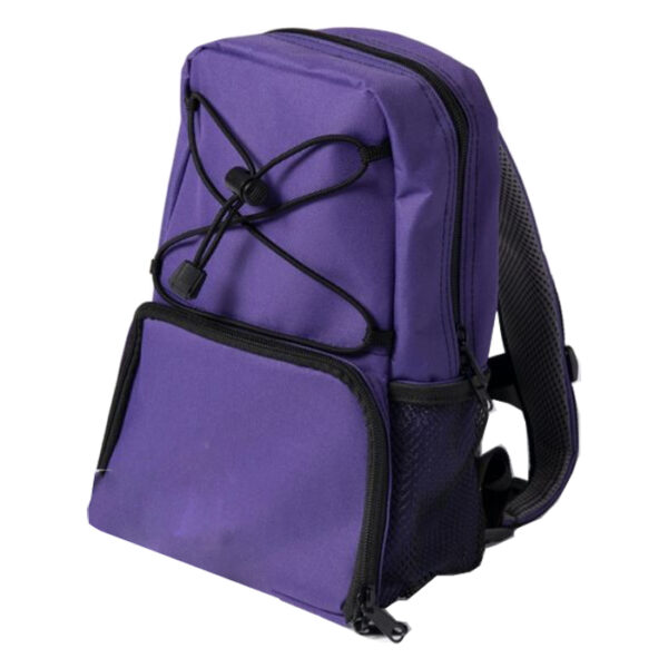 Kangaroo Connect/OMNI Backpack, Purple, Large