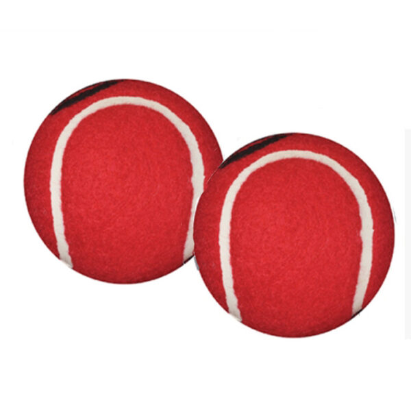 Walkerballs, Gray, Pair