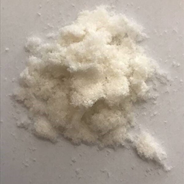 Collagen Wound Dressing Powder, 1 gram