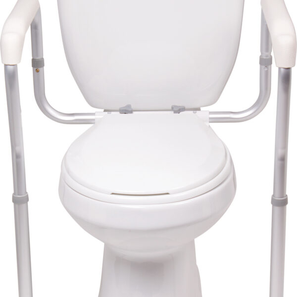 ProBasics Toilet Safety Frame, 300 lb Weight Capacity.