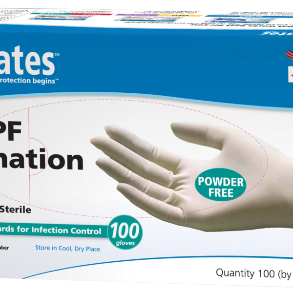 CareMates Vinyl Powder-Free Disposable Examination Gloves, Small
